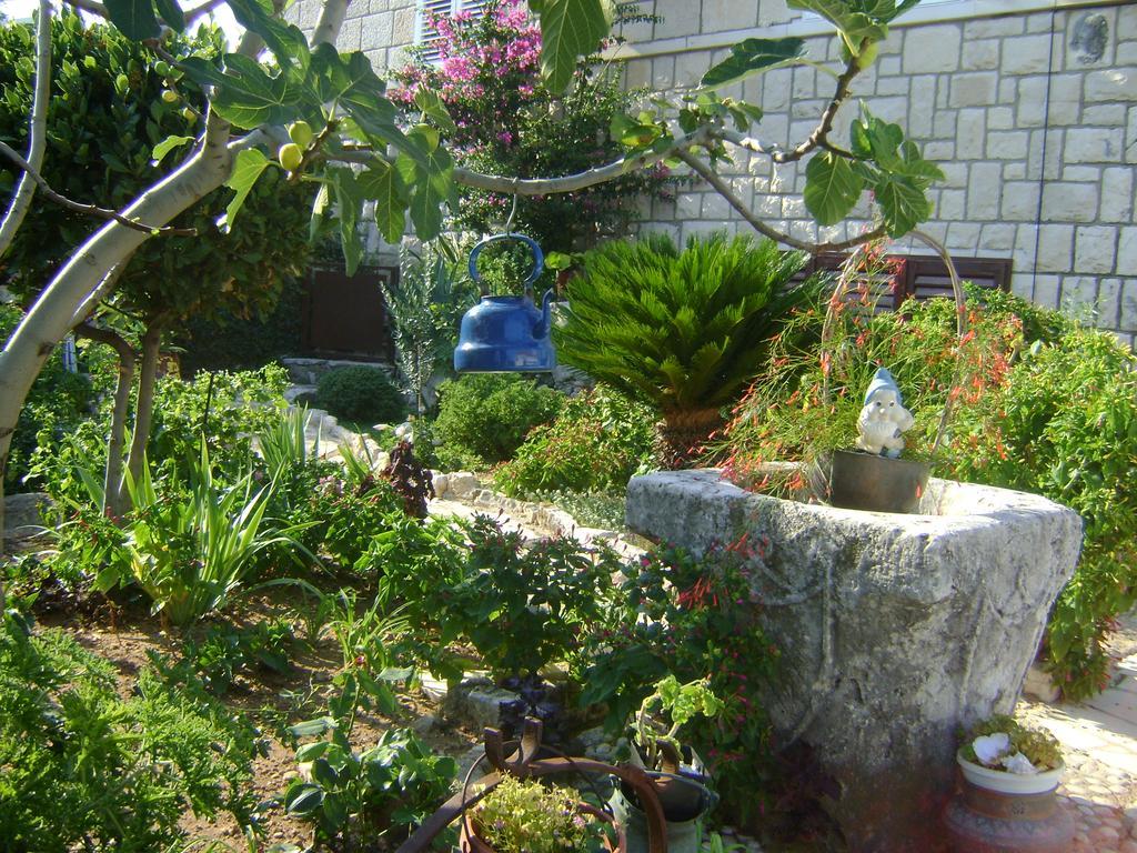 Apartment Lise *